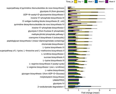 Untargeted metabolomics and metagenomics reveal signatures for intramammary ceftiofur treatment and lactation stage in the cattle hindgut